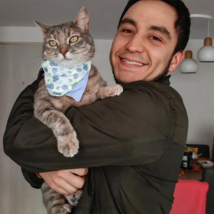 Adopta un gato en Bogotá 