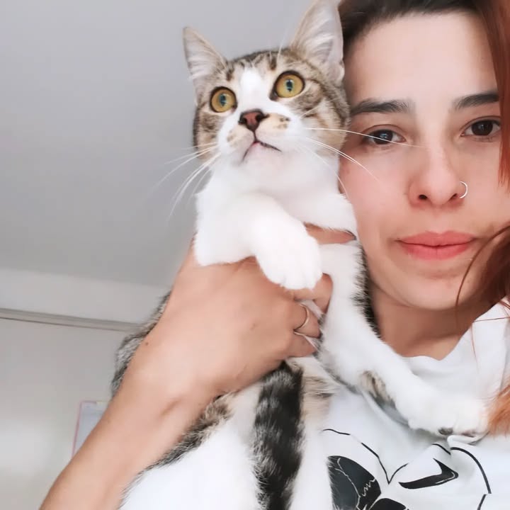 Adopta un gato en Bogotá 