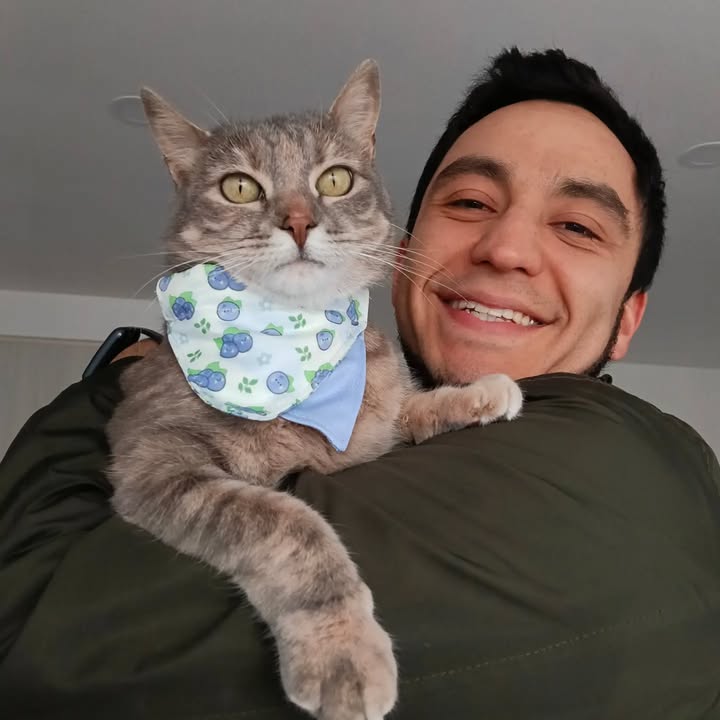 Adopta un gato en Bogotá 