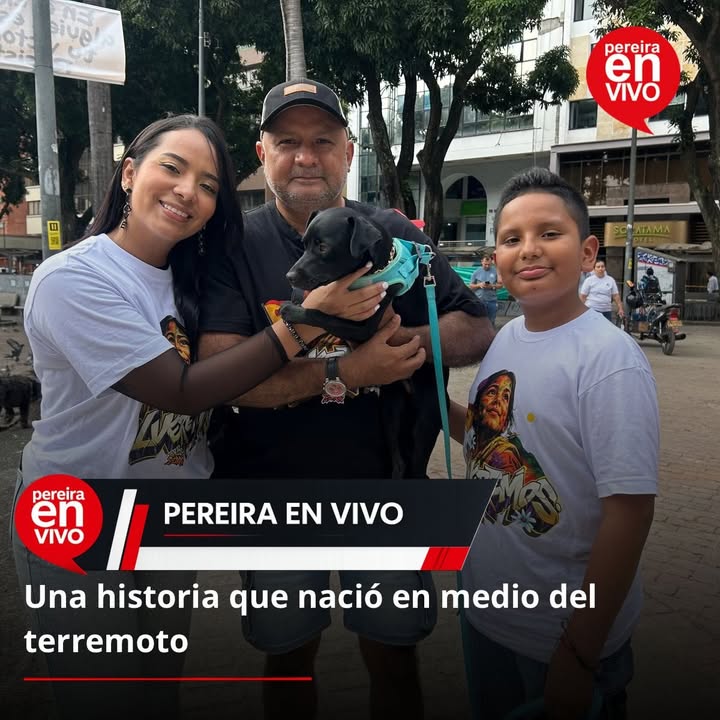 Historia de adopción de Sismo, el perrito que encontró un hogar en Pereira 