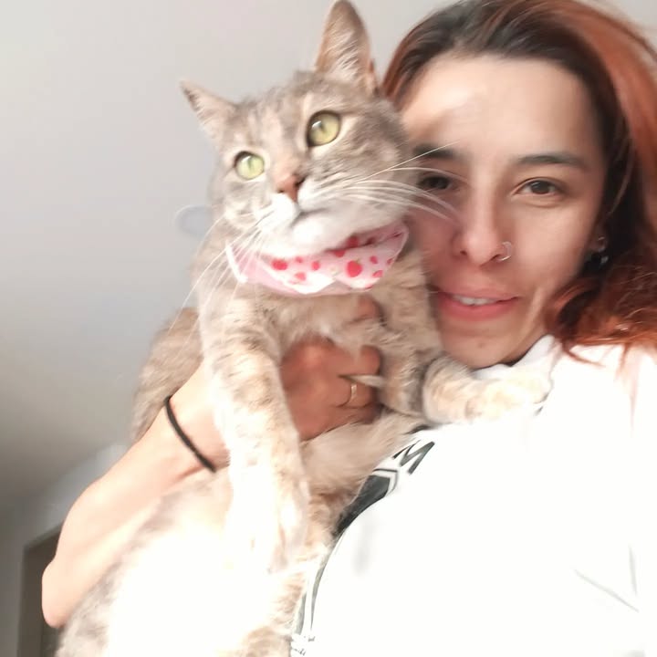 Adopta un gato en Bogotá 