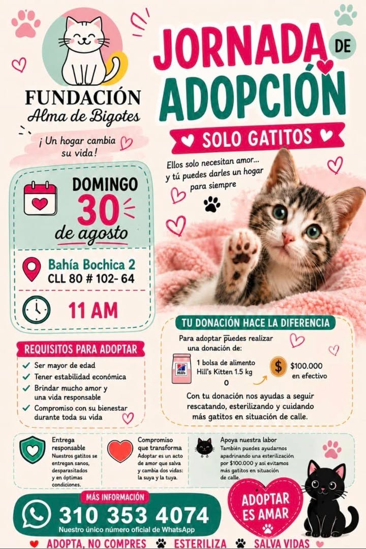 Jornada de Adopción de Gatitos en Bogotá 