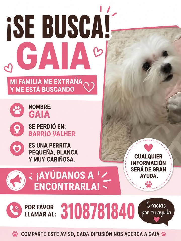 Busca GAIA en Pereira, Risaralda 