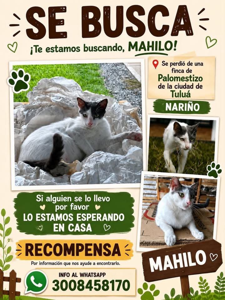 Se Busca Mahilo en Tuluá, Valle 