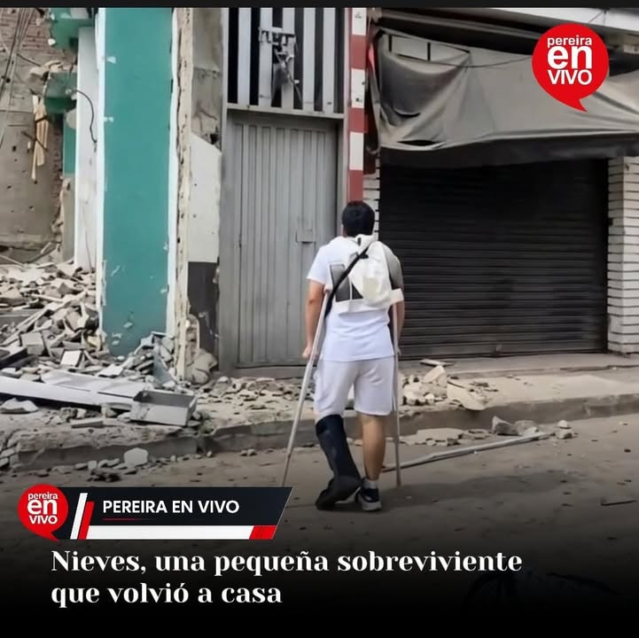 Gatita "Nieves" sobrevive 25 días bajo escombros en Pereira tras terremoto 
