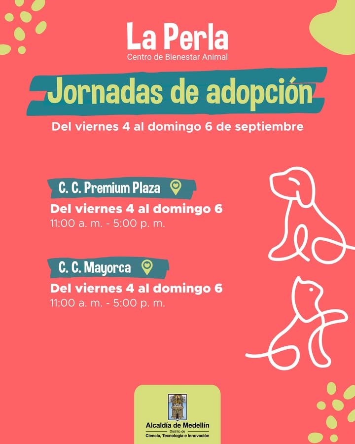 Adopta un amor para toda la vida en Medellin 