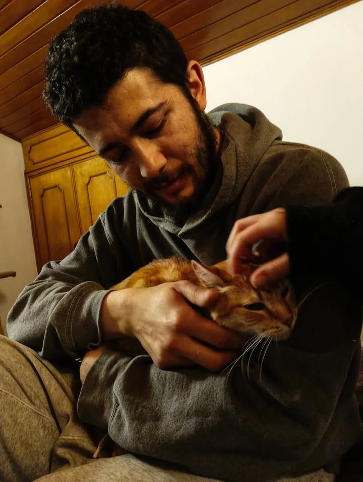 Adopción de gatita Fresita en Bogotá, Colombia 