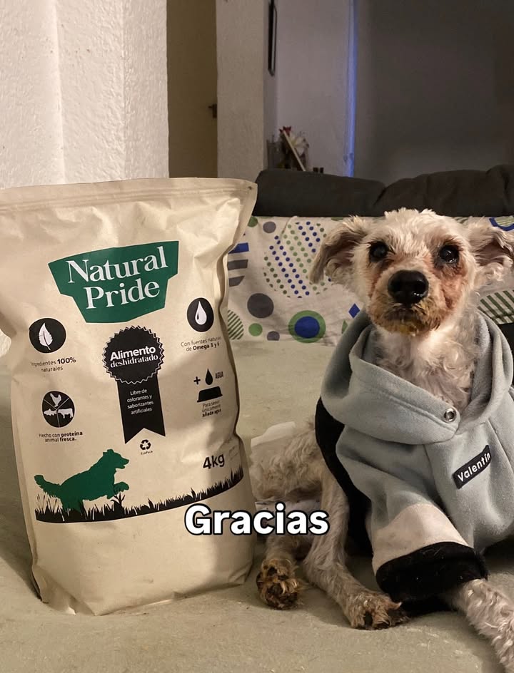 Adopta un peludito y cambia su vida 