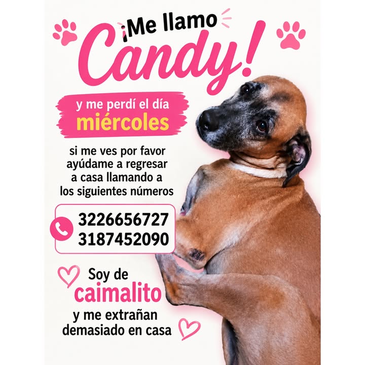 Se busca a Candy en La Virginia 