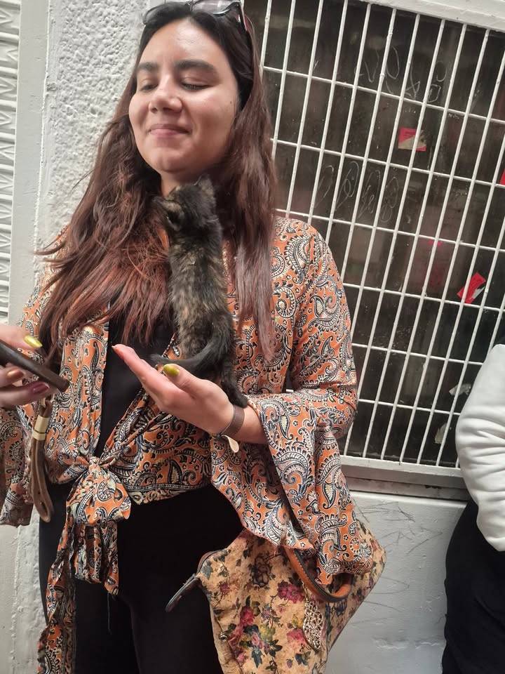Proceso de adopción responsable en Bogotá 