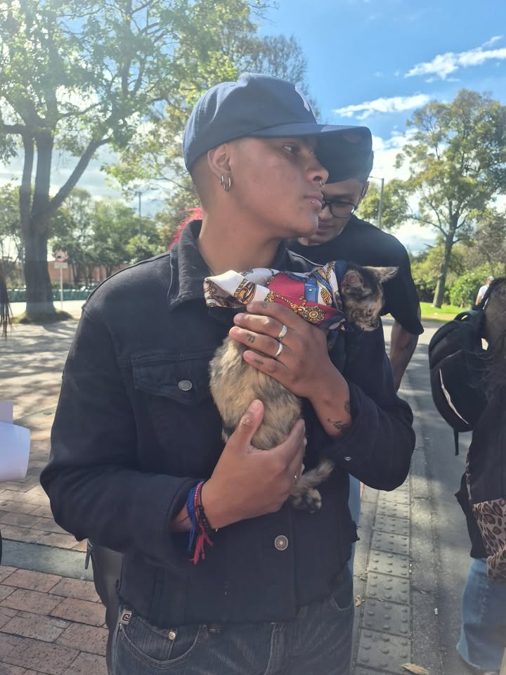 Proceso de adopción responsable en Bogotá 