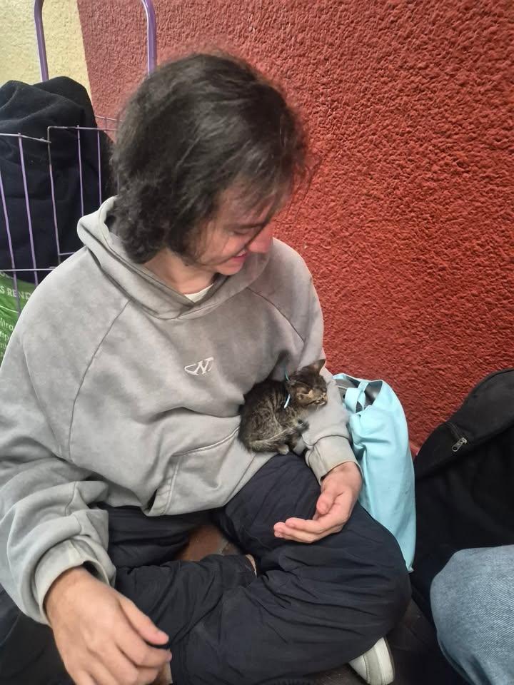 Proceso de adopción responsable en Bogotá 