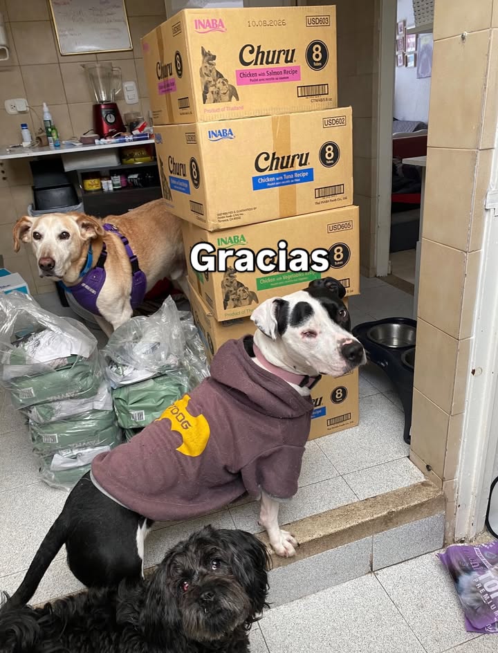 Adopta un peludito y cambia su vida 