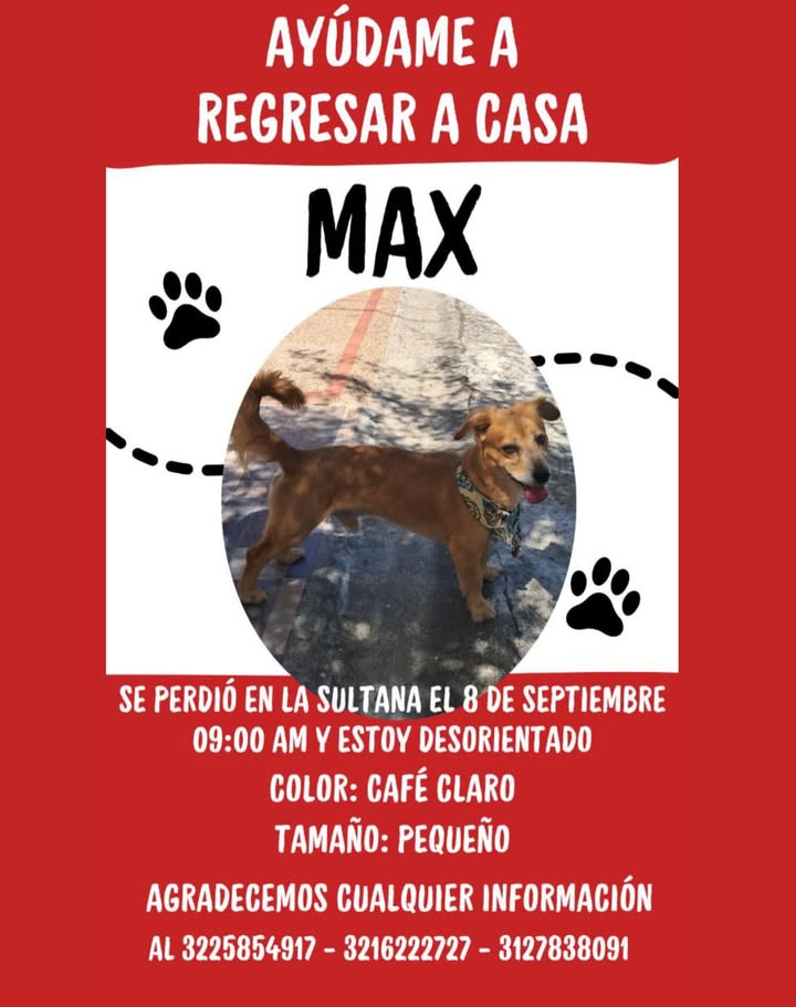 Se perdió Max en La Sultana 
