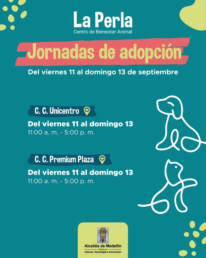 Adopta un perro o gato en Medellin 