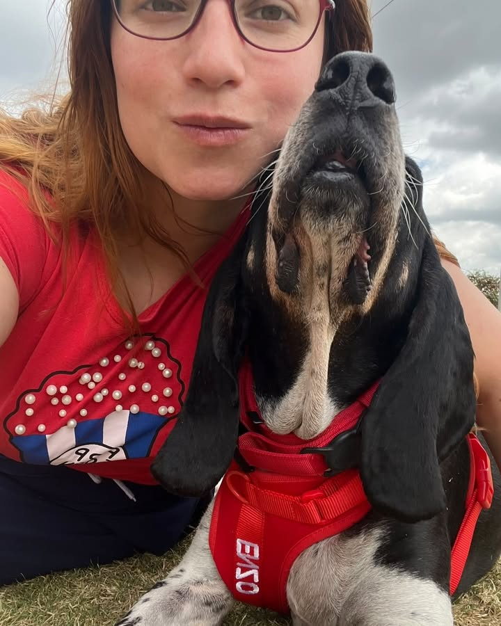 Enzo adoptado en Armenia, Quindío: final feliz tras adopción fallida 