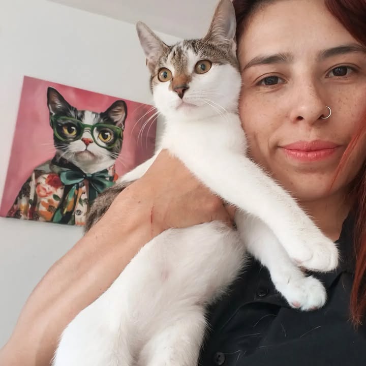 Adopción de gatitos Pomelo y Hortensia en Bogotá 