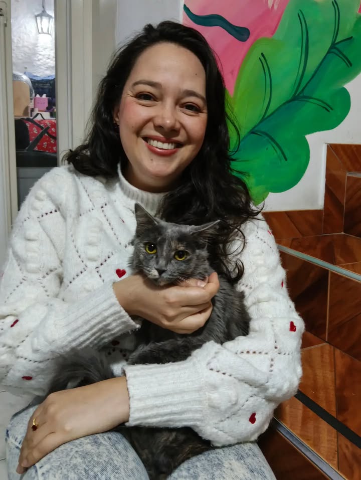 Gatitos para adopción: Hipo, Dargo, Wanda y Salomé disponibles en Bogotá 