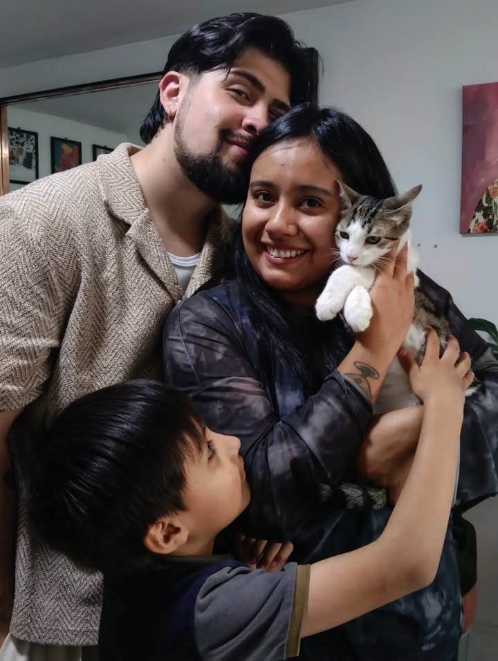 Gatitos para adopción: Hipo, Dargo, Wanda y Salomé disponibles en Bogotá 