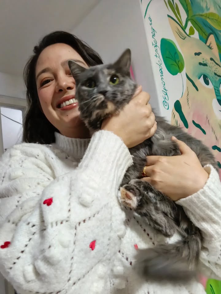 Gatitos para adopción: Hipo, Dargo, Wanda y Salomé disponibles en Bogotá 