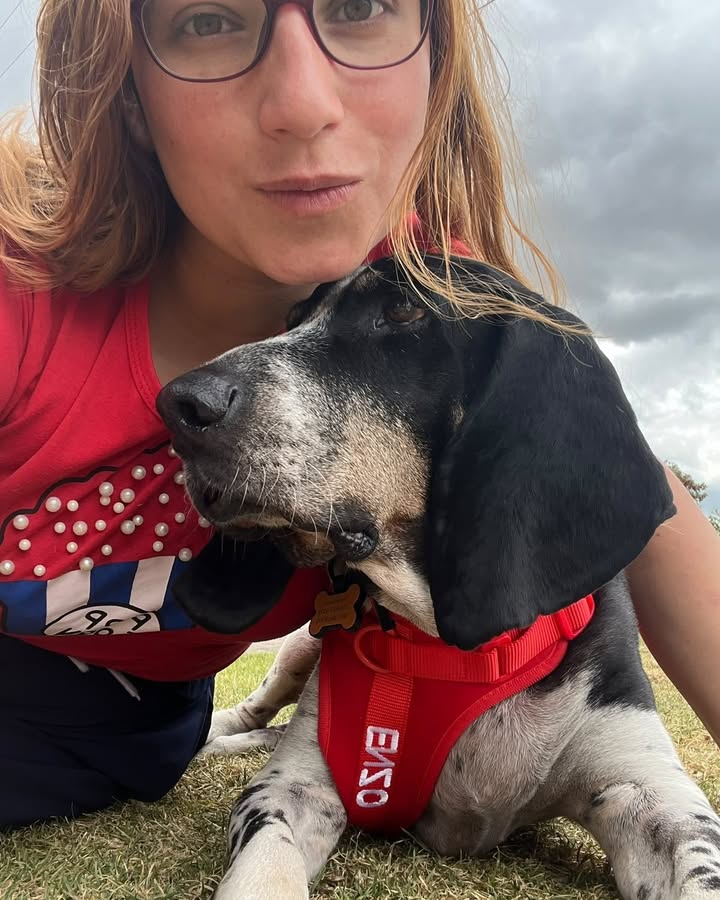 Enzo adoptado en Armenia, Quindío: final feliz tras adopción fallida 