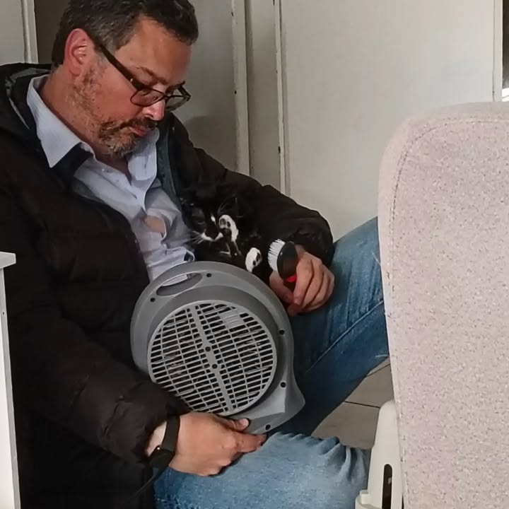 Gata Cleopatra busca hogar en Bogotá 