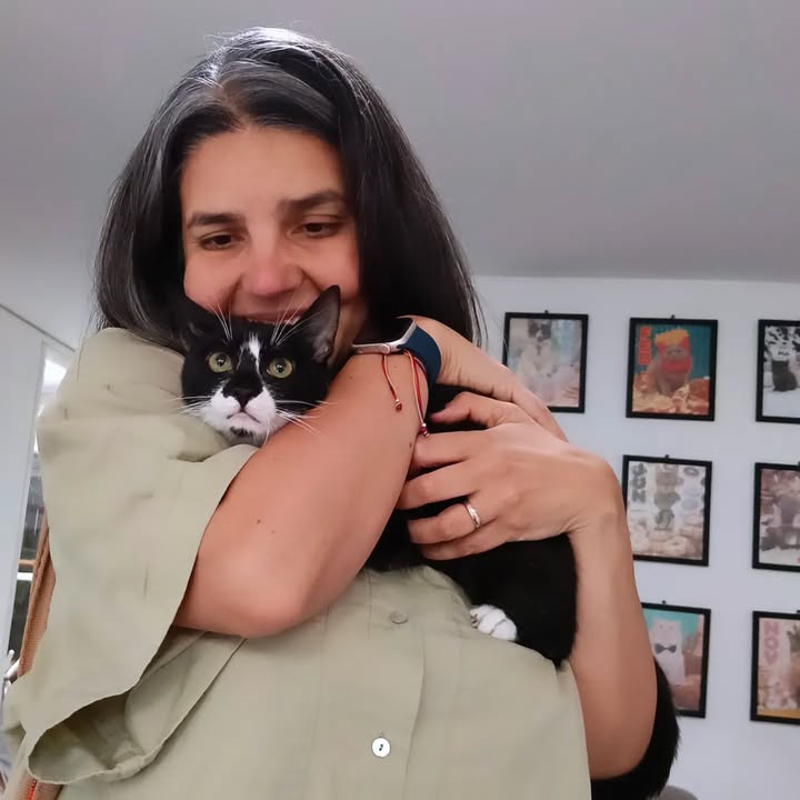 Gata Cleopatra busca hogar en Bogotá 