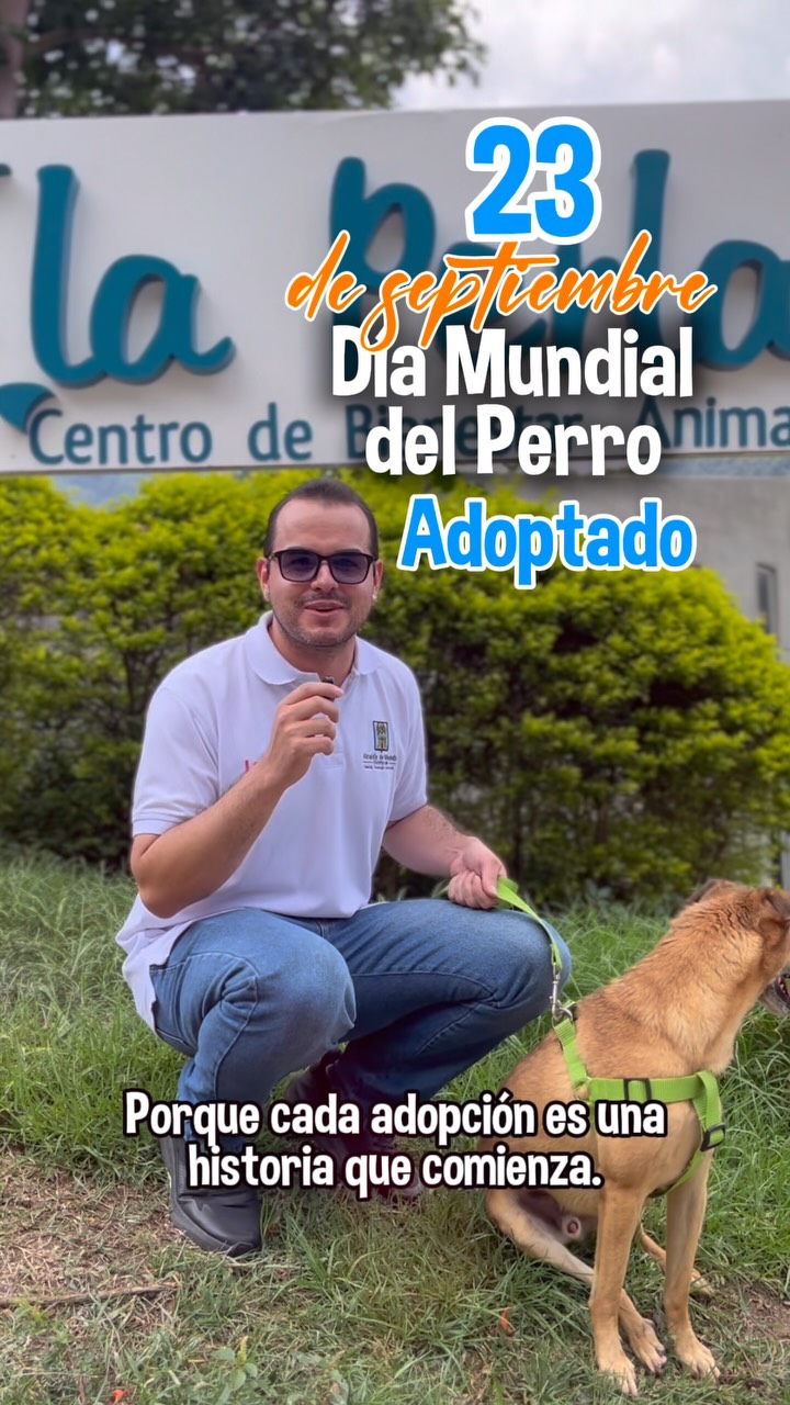 Celebración Día Mundial del Perro Adoptado en Medellín 