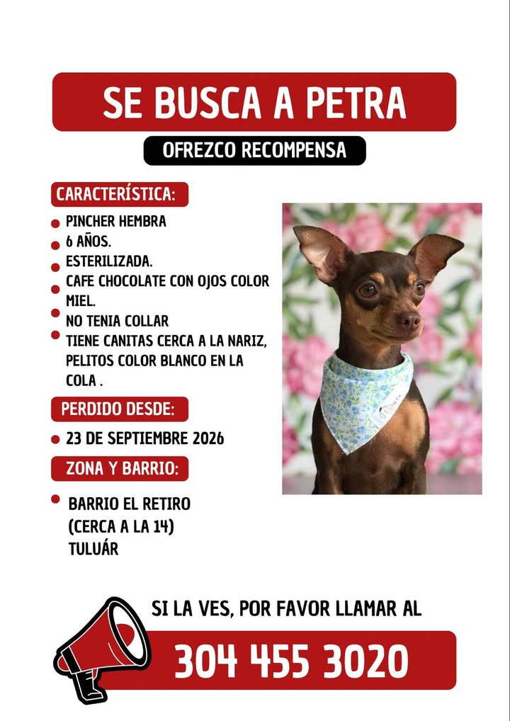 Se busca a Petra en Tuluá 