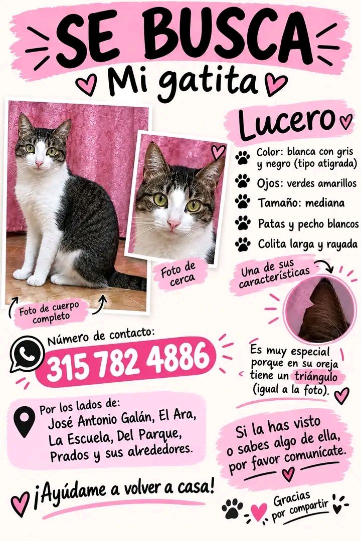 Se busca Gatica Lucero en Tuluá 
