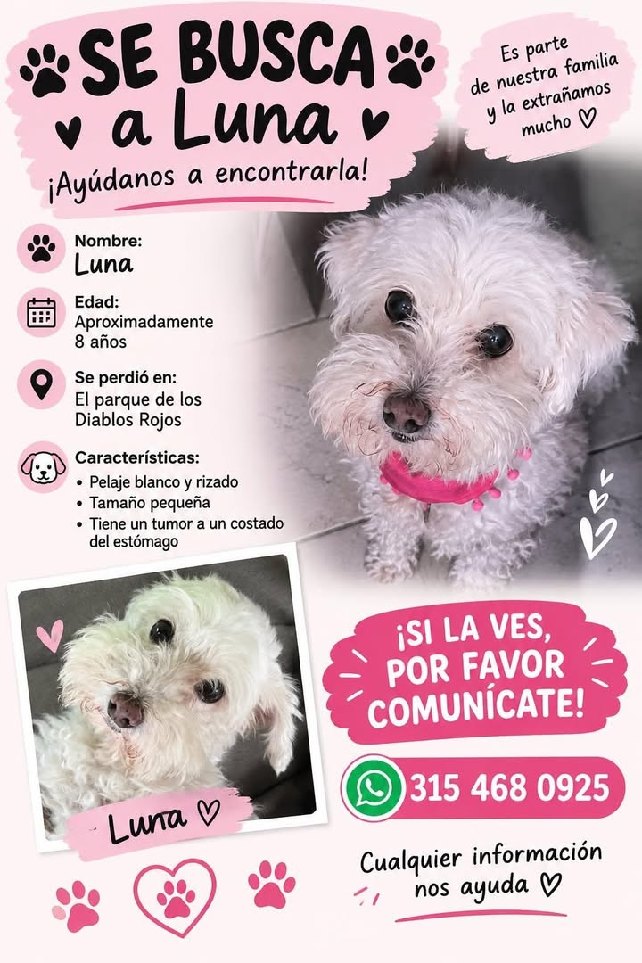 Se busca Luna en Tuluá, Valle 