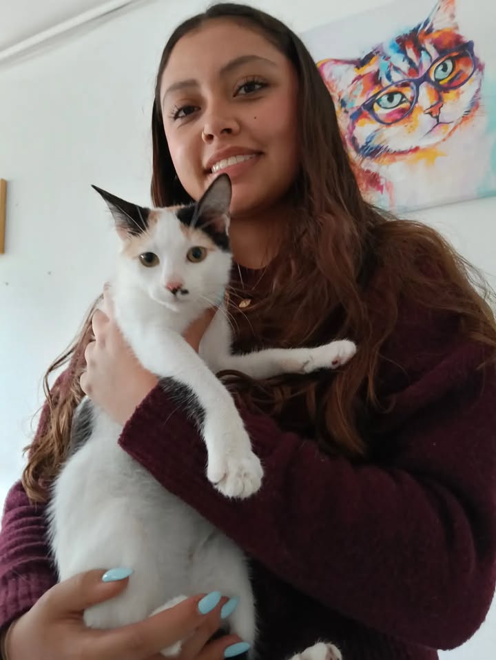Anahí y Ethan: Gatos adoptados y felices buscan hogar 