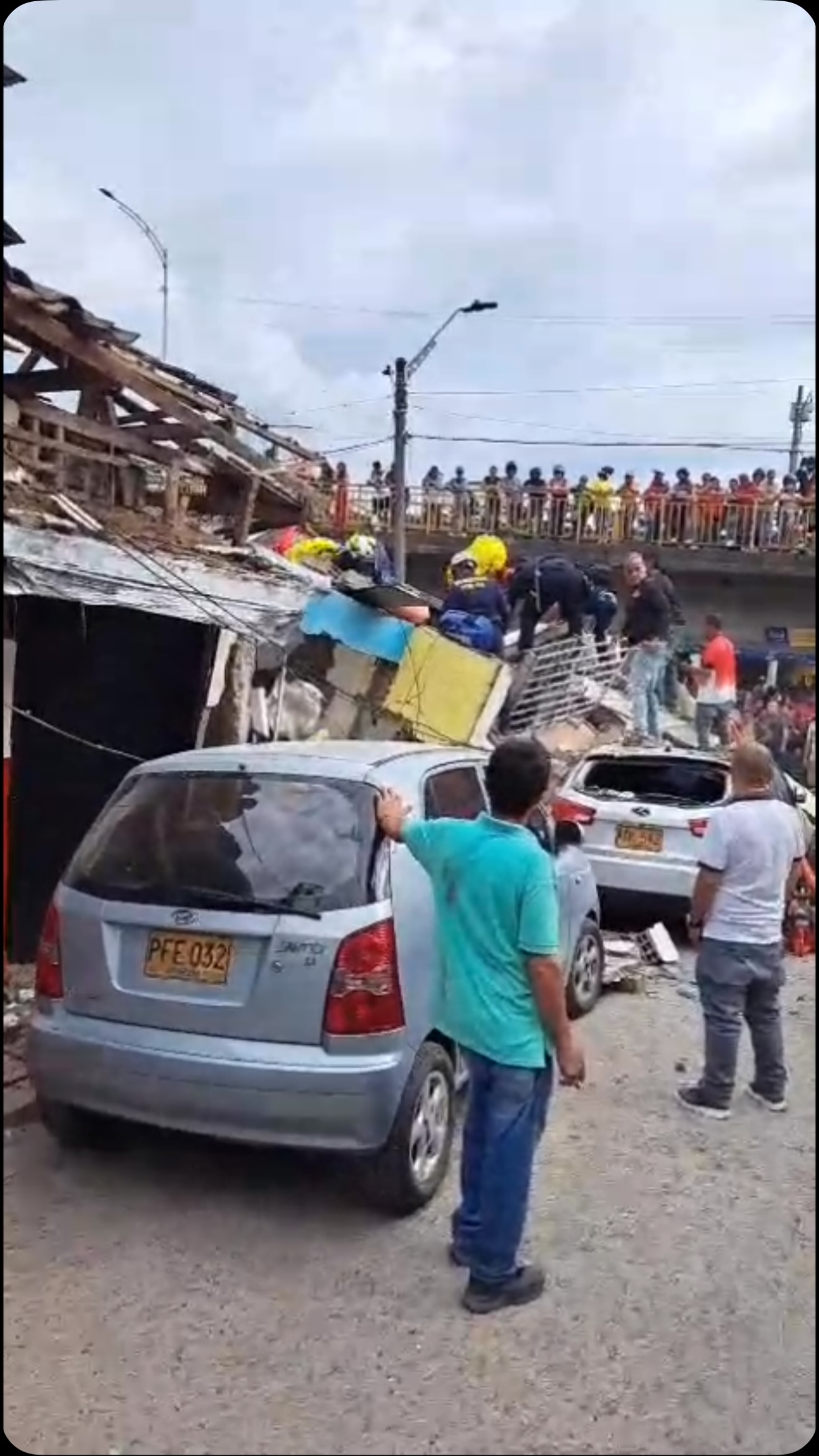 Perro perdido en Pereira, Risaralda 