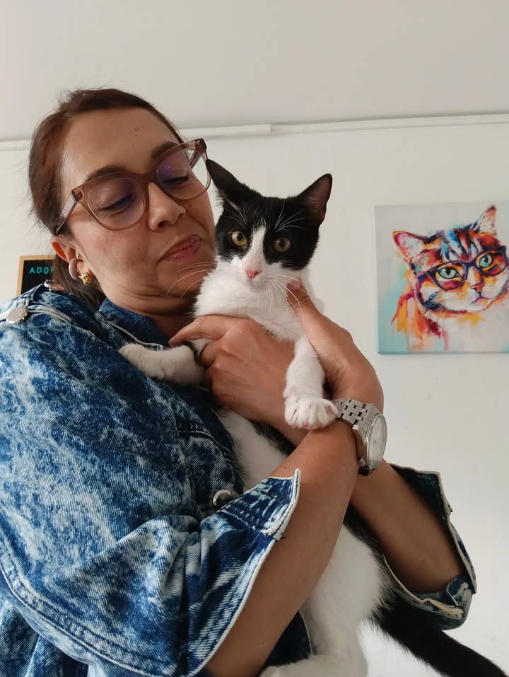 Anahí y Ethan: Gatos adoptados y felices buscan hogar 