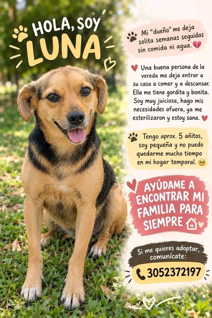 Luna se da en adopción en Tuluá, Valle 