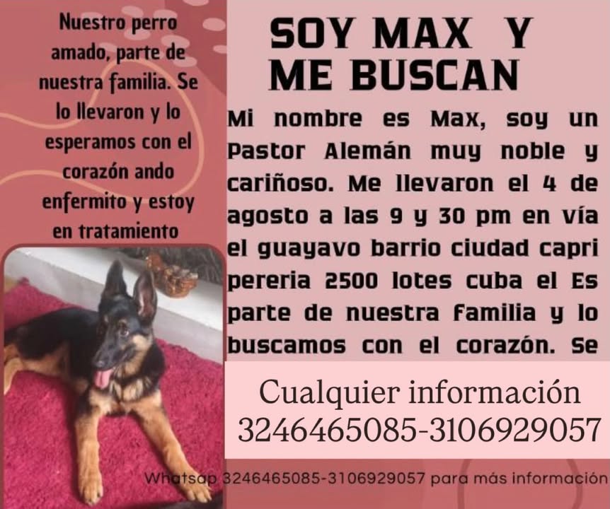 Pastor Alemán busca a su familia en Pereira 