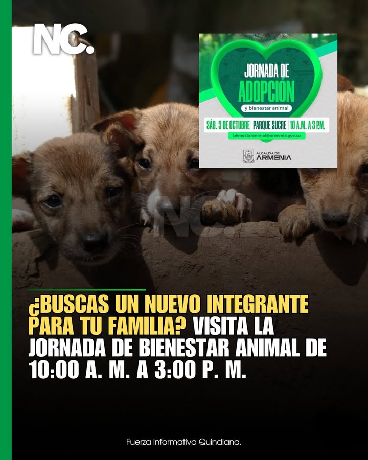 Jornada de Adopción y Bienestar Animal en Armenia, Quindío 