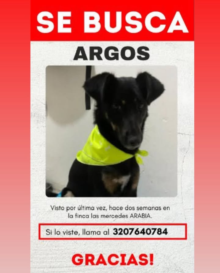 Se busca Argos en Pereira 