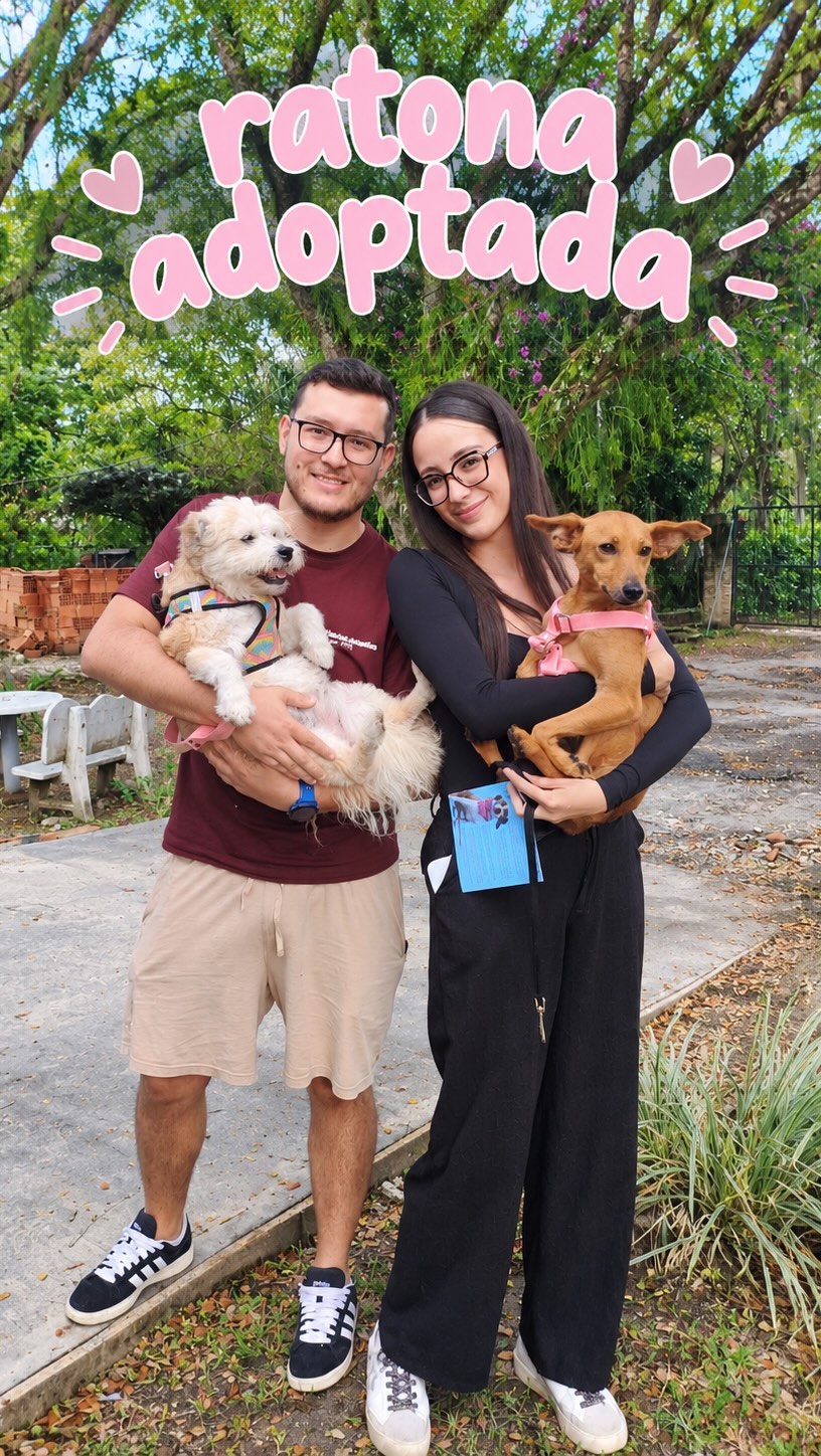 Ratona Adoptada en Cartago 