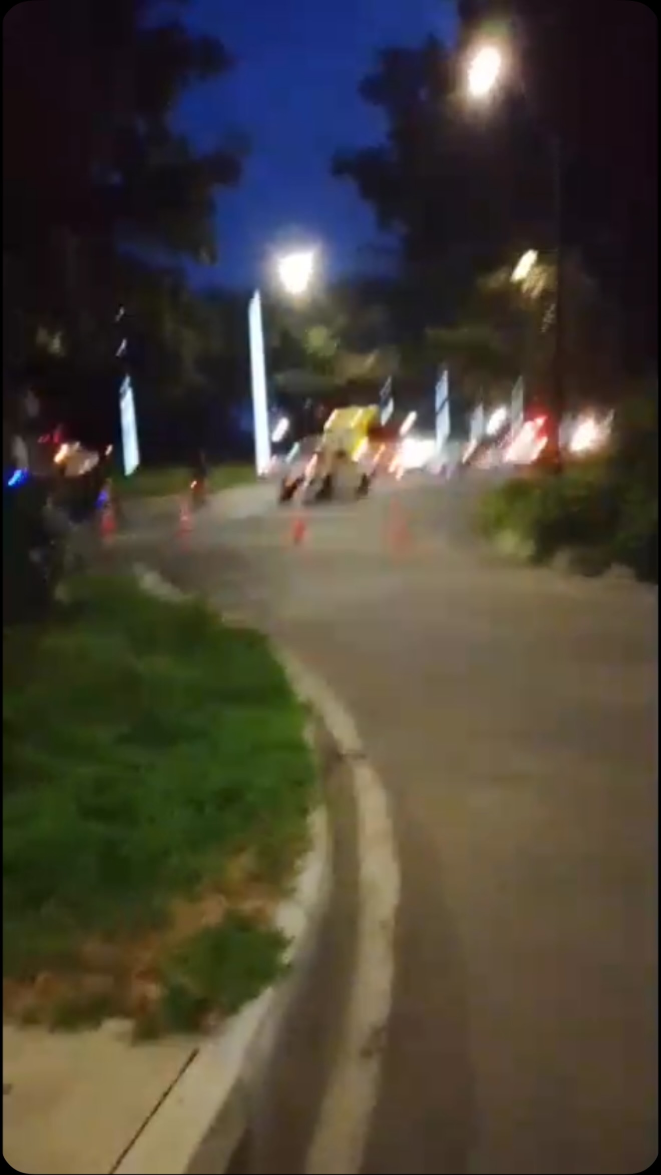 Gatito perdido en Pereira, Risaralda 