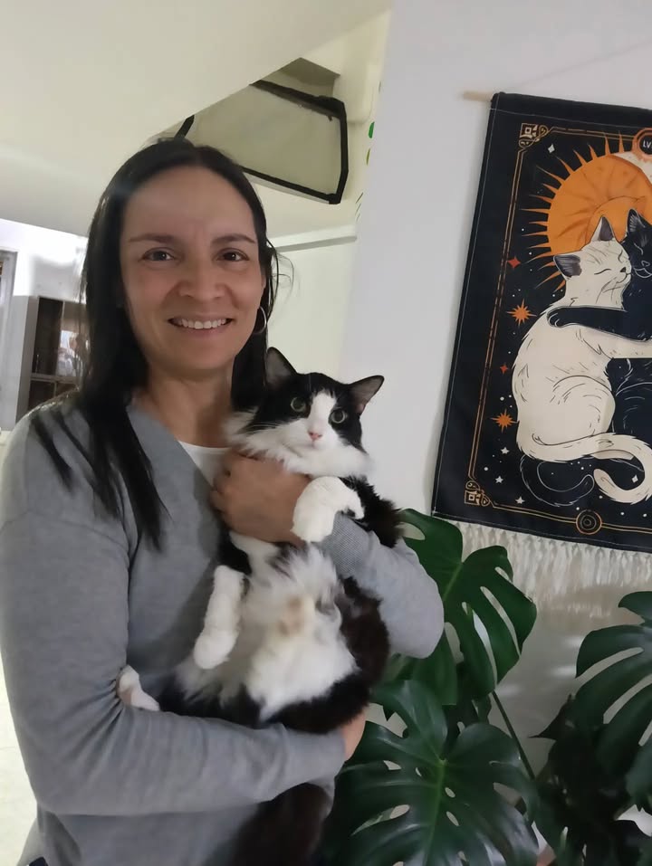 Gata Anastasia busca hogar en Bogotá, Colombia 