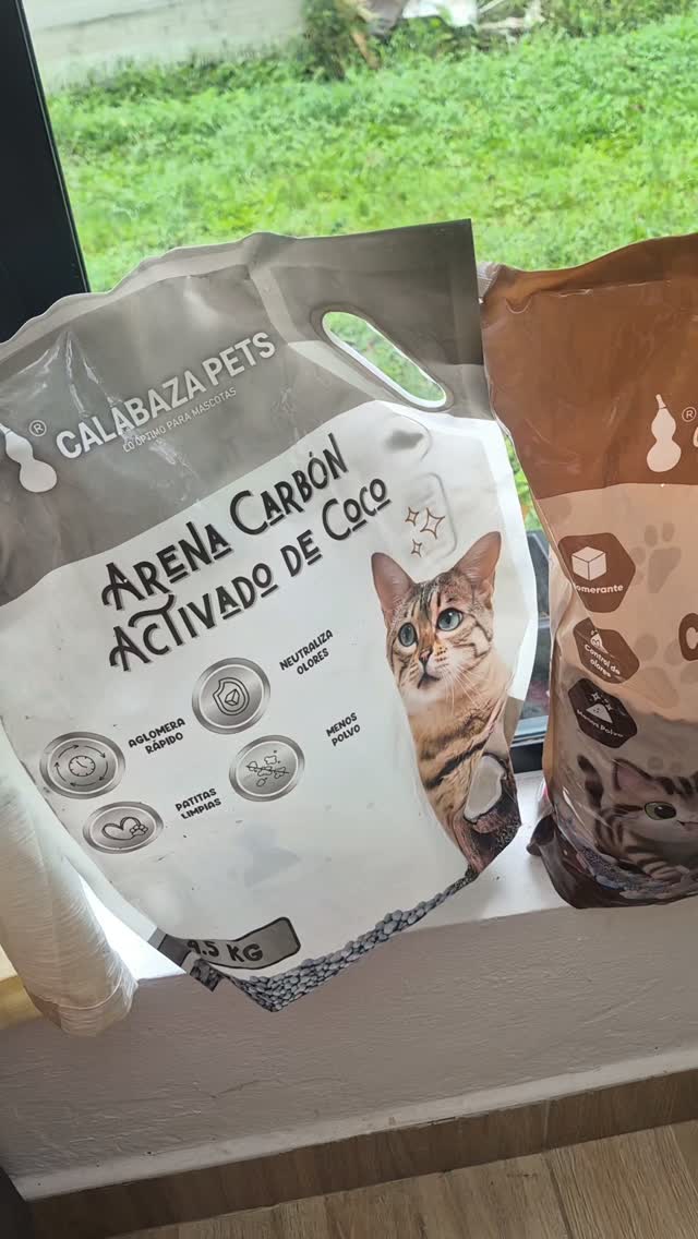 Gato en adopción 