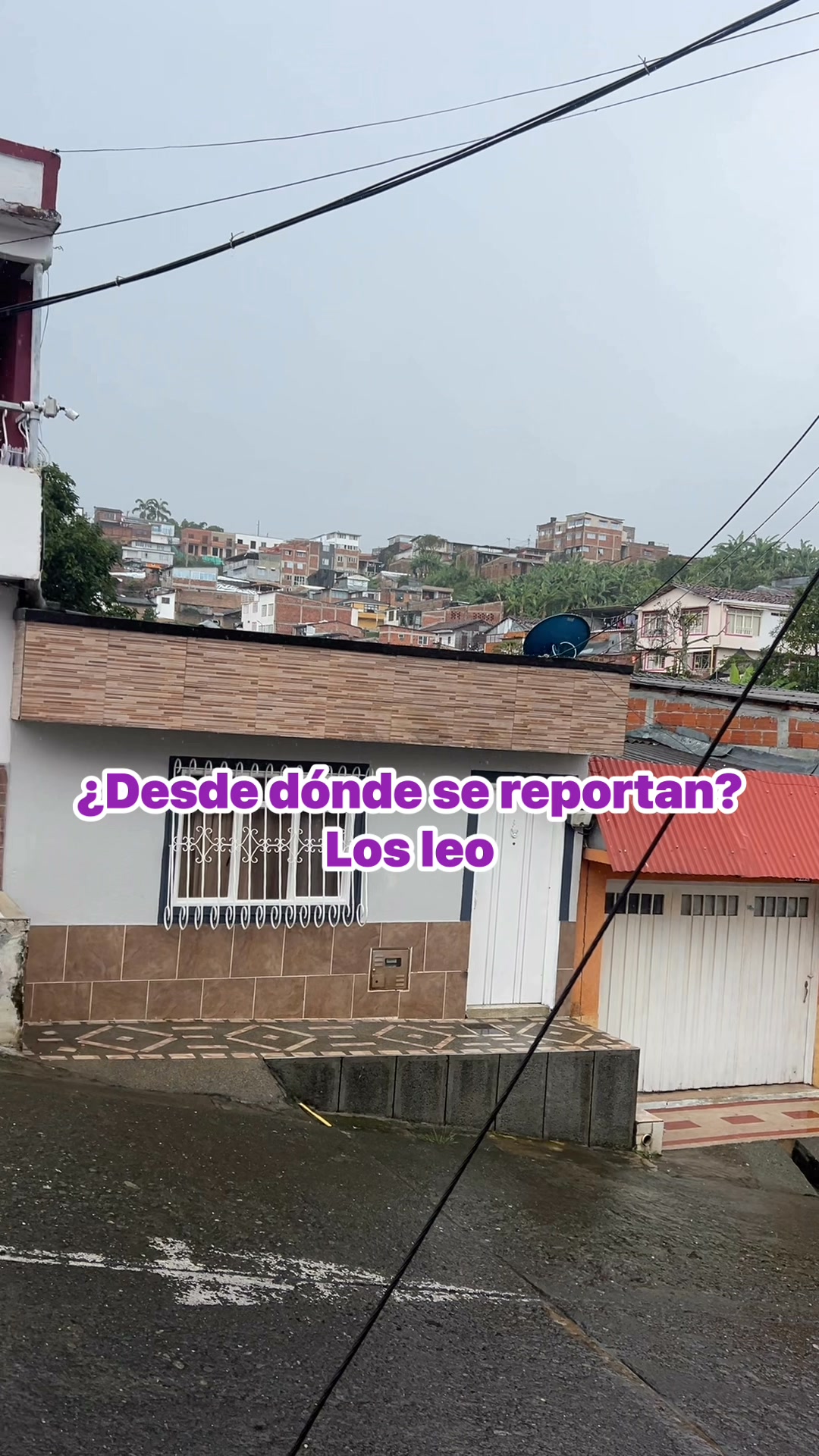 Perro perdido en Sevilla Valle 