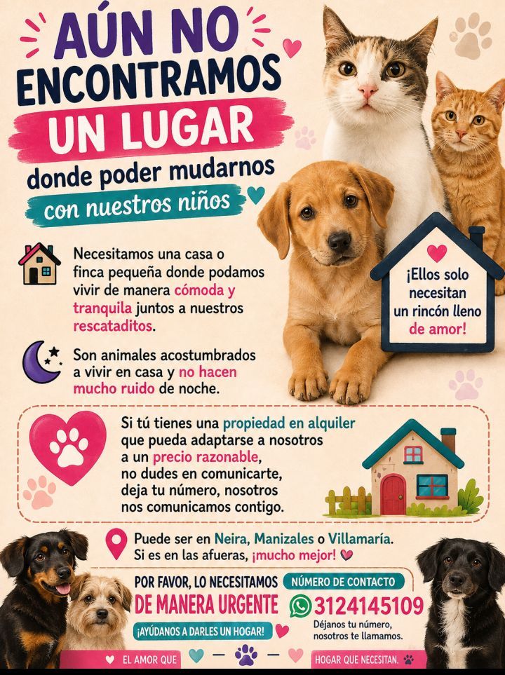 Adopcion de cachorros y gatitos en Neira 