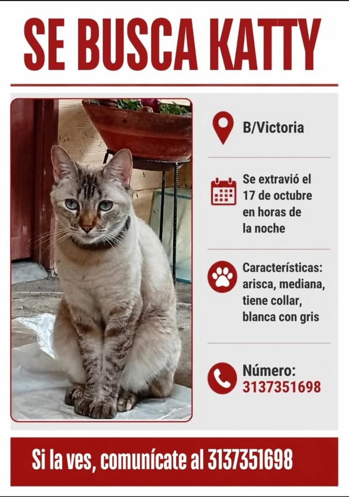 Se busca Katty en Tuluá 