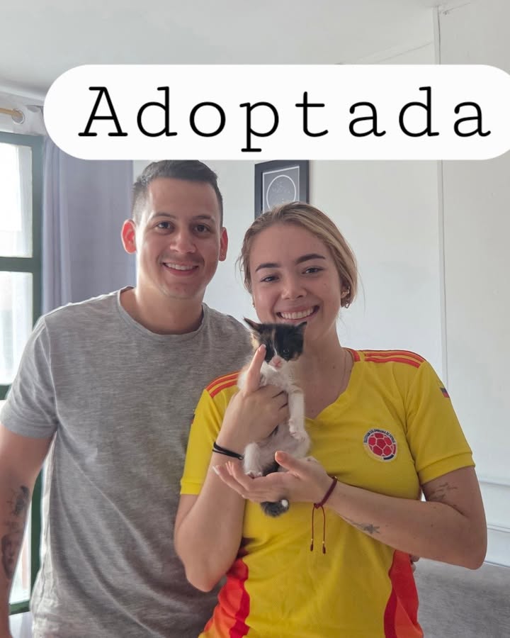 Gata Roma adoptada en Armenia 