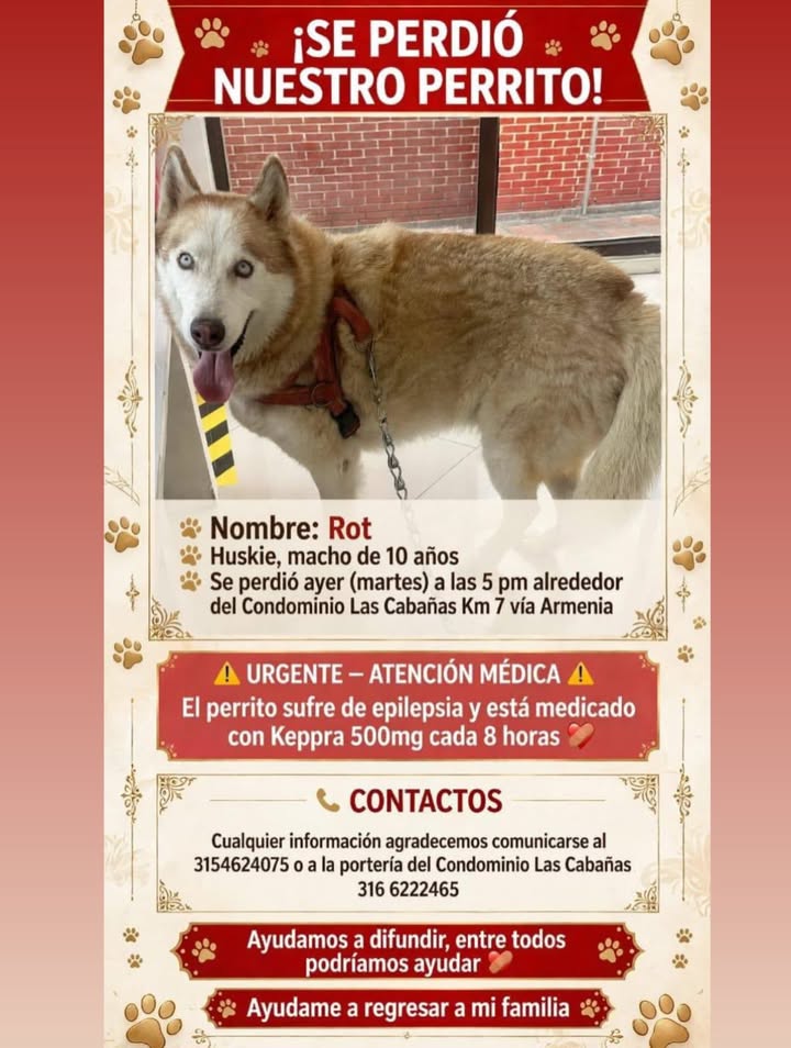¡Se perdió nuestro perrito! 