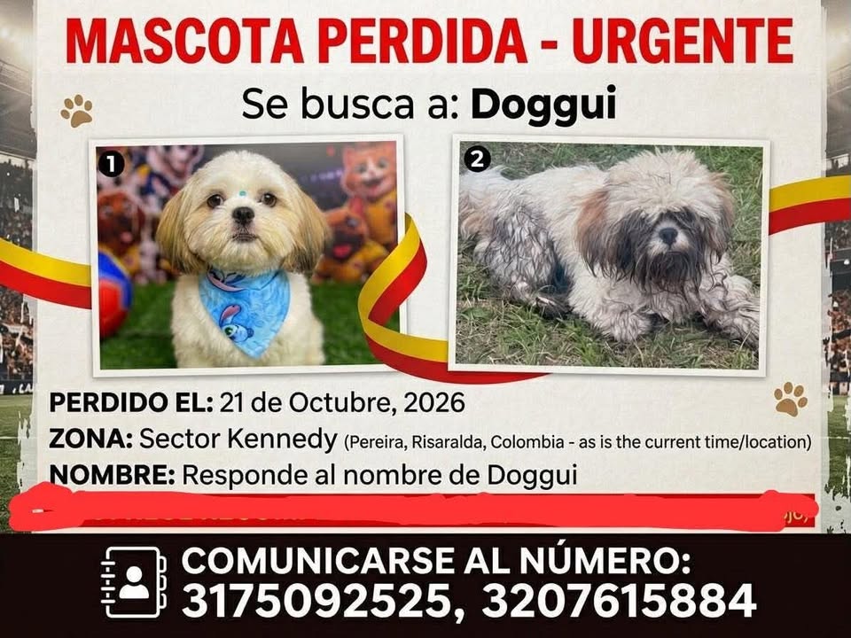 Mascota Perdida - Urgente Doggui en Pereira 