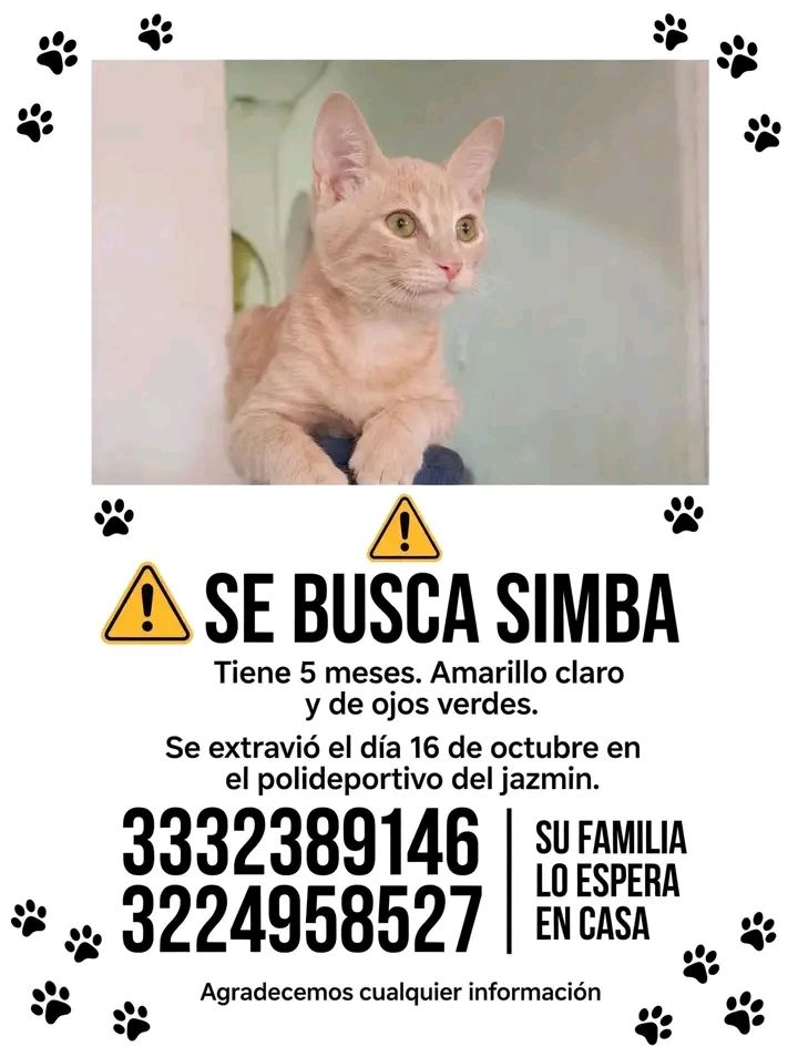 Se busca Simba en Tuluá 