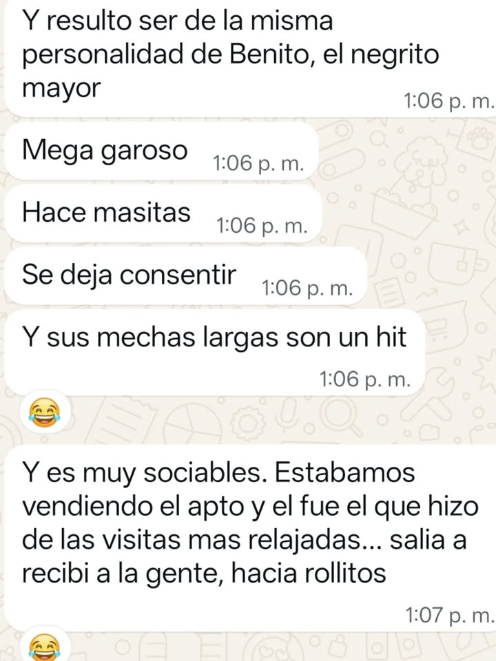 Seguimiento adopción ex Toby, ahora Rambito 